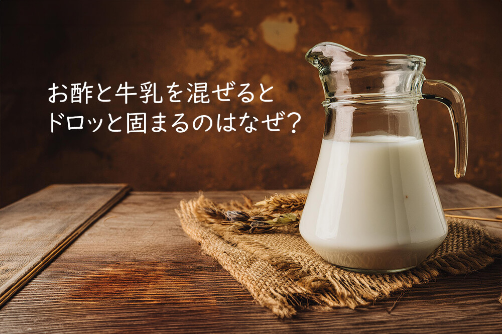 お酢と牛乳を混ぜるとドロッと固まるのはなぜ？