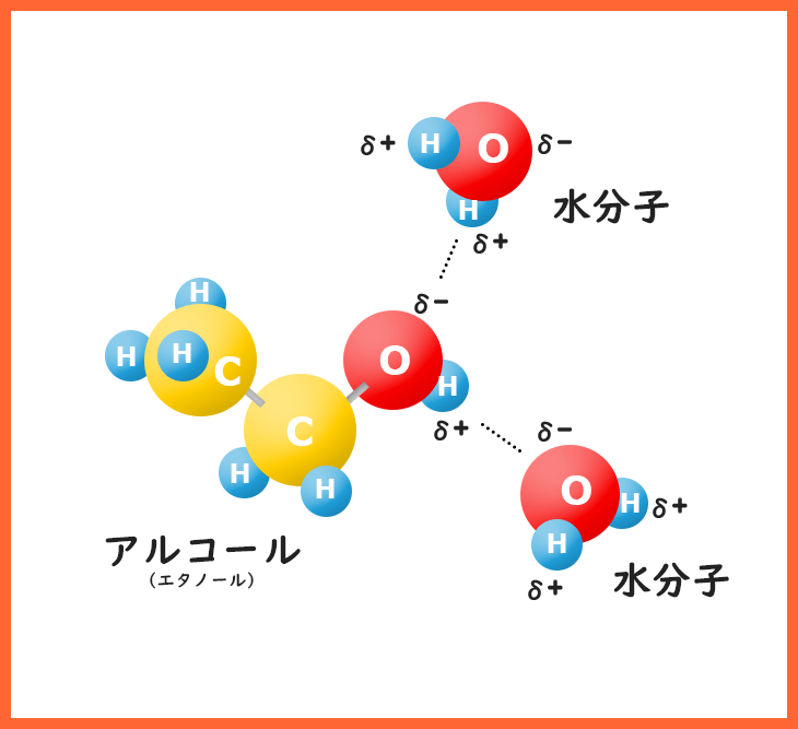 お酢の仕込み液中のアルコール分子と水分子は水素結合で水和している